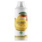  Nature Foods Collagen concentrate 1000 