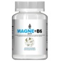   Magne + B6 60 